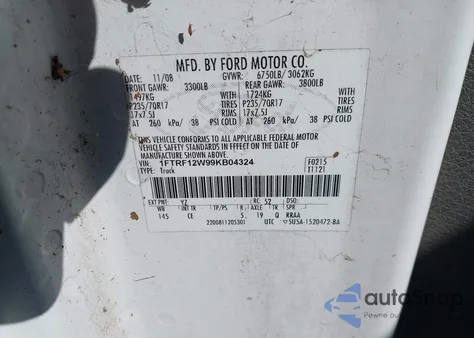 2009 Ford F-150 Stx/Xl/Xlt from USA, damaged, VIN 1FTRF12W99KB04324
